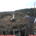 17_05-nest.jpg