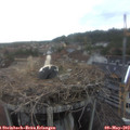 17_15-nest.jpg