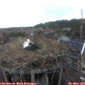 17_30-nest.jpg