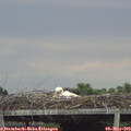17_40-mast.jpg