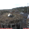 17_40-nest.jpg