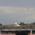 18_05-mast.jpg