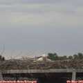 19_05-mast.jpg