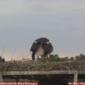 19_35-mast.jpg