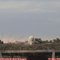 19_45-mast.jpg