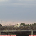 20_35-mast.jpg