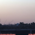 05_50-mast.jpg