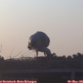 06_10-mast.jpg
