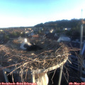 06_25-nest.jpg
