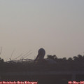 06_30-mast.jpg