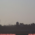 06_35-mast.jpg