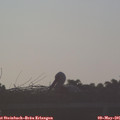 06_45-mast.jpg