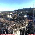 06_45-nest.jpg
