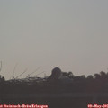 06_55-mast.jpg