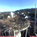 07_10-nest.jpg