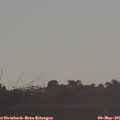 07_15-mast.jpg