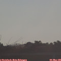 07_20-mast.jpg