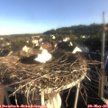 07_25-nest.jpg