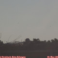 07_30-mast.jpg