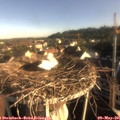 07_30-nest.jpg