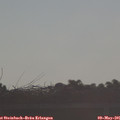 07_35-mast.jpg
