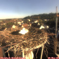 07_40-nest.jpg
