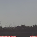 07_55-mast.jpg