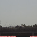 08_50-mast.jpg