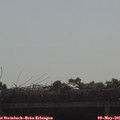 08_55-mast.jpg