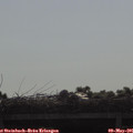 09_00-mast.jpg
