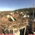 09_00-nest.jpg