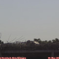 09_05-mast.jpg