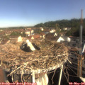 09_05-nest.jpg