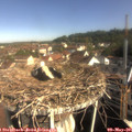 09_10-nest.jpg