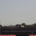 09_30-mast.jpg