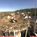 09_30-nest.jpg
