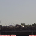 09_35-mast.jpg
