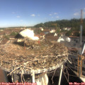 09_55-nest.jpg