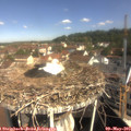 10_00-nest.jpg