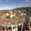 10_10-nest.jpg