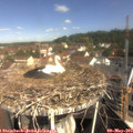 10_15-nest.jpg
