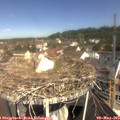 10_40-nest.jpg