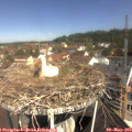 10_45-nest.jpg