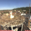10_55-nest.jpg