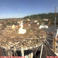 11_05-nest.jpg