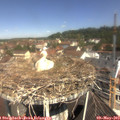 11_10-nest.jpg