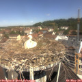 11_15-nest.jpg