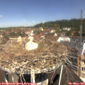 11_20-nest.jpg