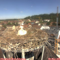 11_25-nest.jpg