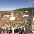 11_30-nest.jpg